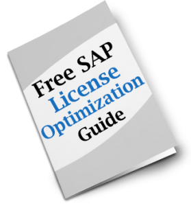 SAP License Audit